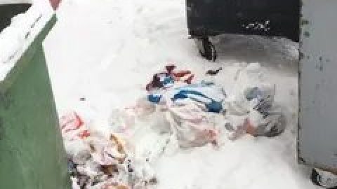 Почему в Петербурге не могут решить проблемы с вывозом мусора